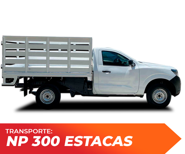 Mula Transport Mx